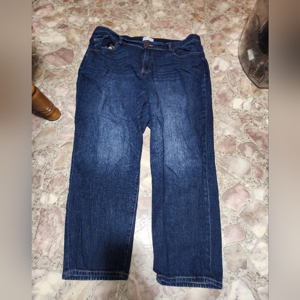 Lane Bryant Classic Blue Denim Jeans